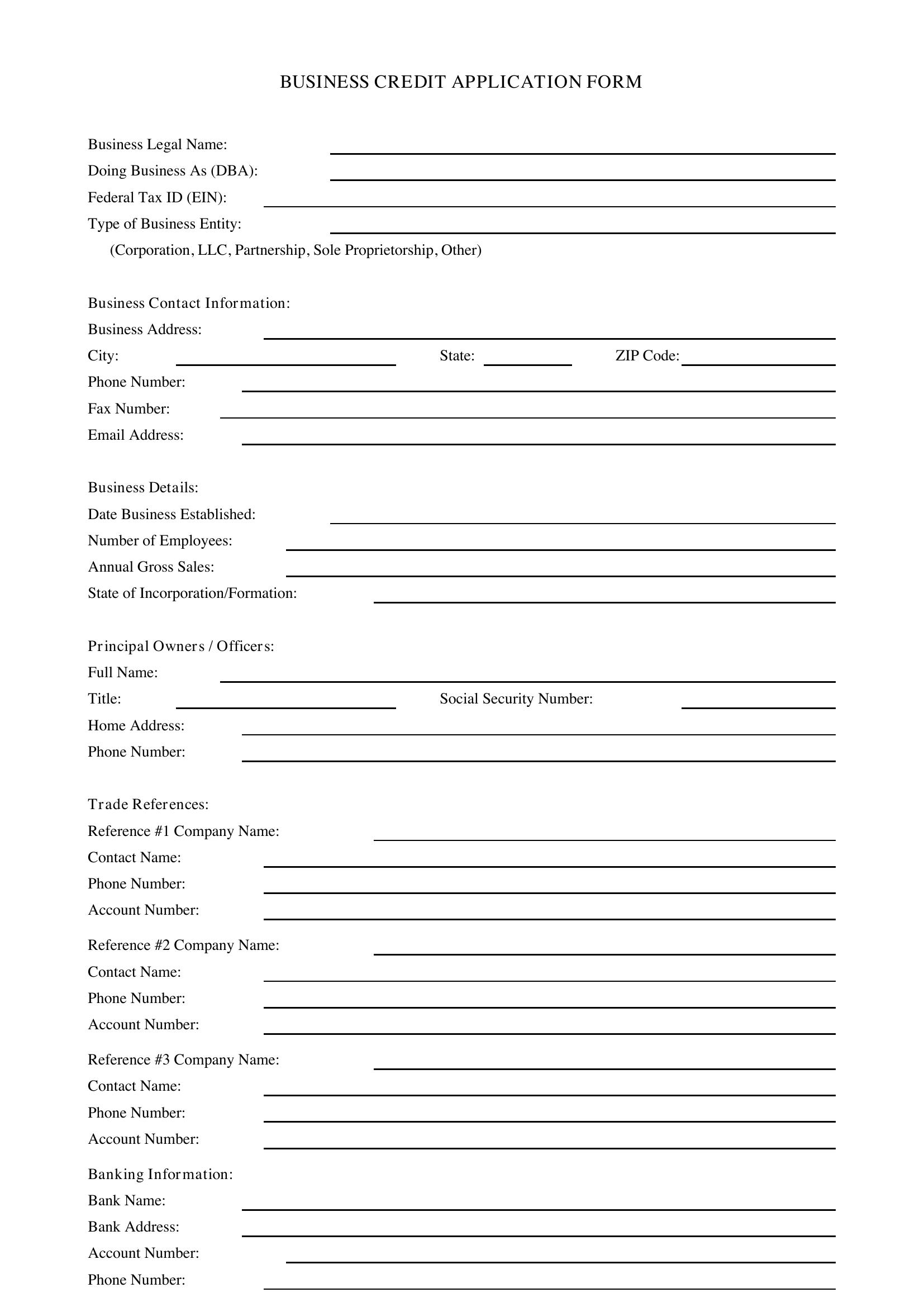 Business Credit Application Form Template - US